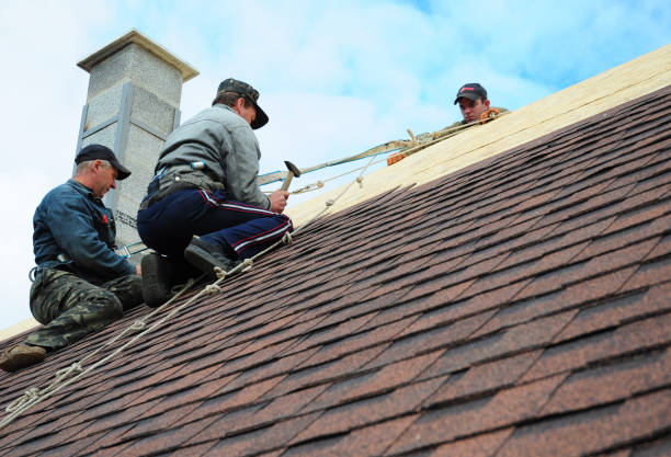 Best Roof Maintenance Services  in Wetumka, OK